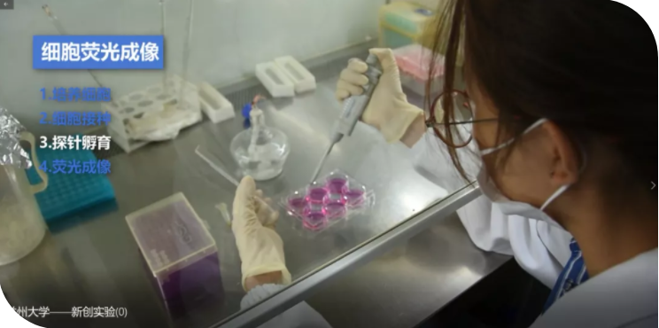 兰州大学这群学生厉害了：自己给自己编写教学课程！还将应用于全国本科生教学