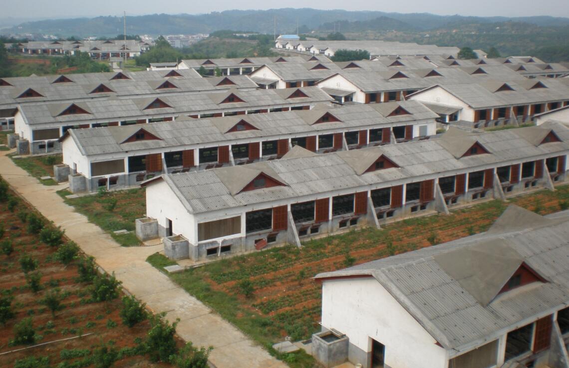 養豬大棚建設多少錢(存欄100頭母豬的繁育豬場) - bat日報