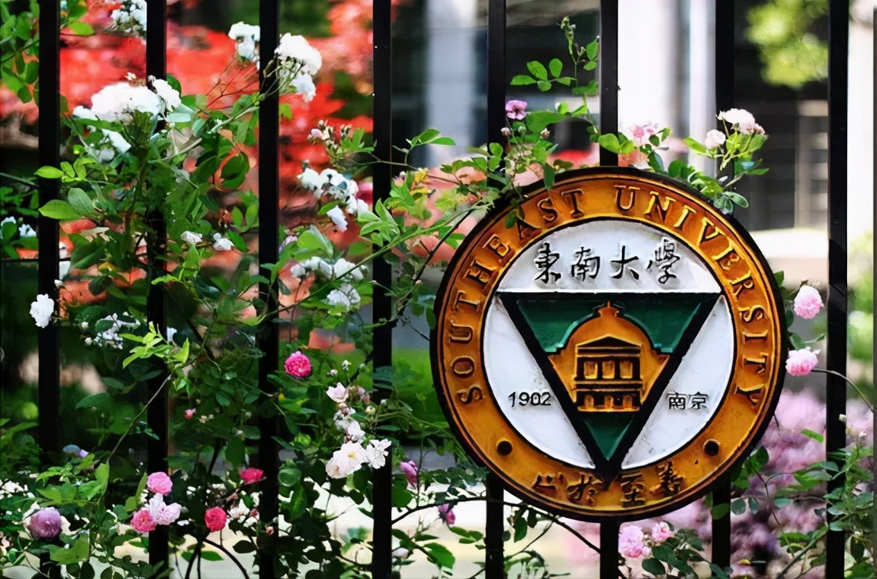 重磅消息！近日，东南大学再添一名院士！是这个领域国际开拓领军人之一！