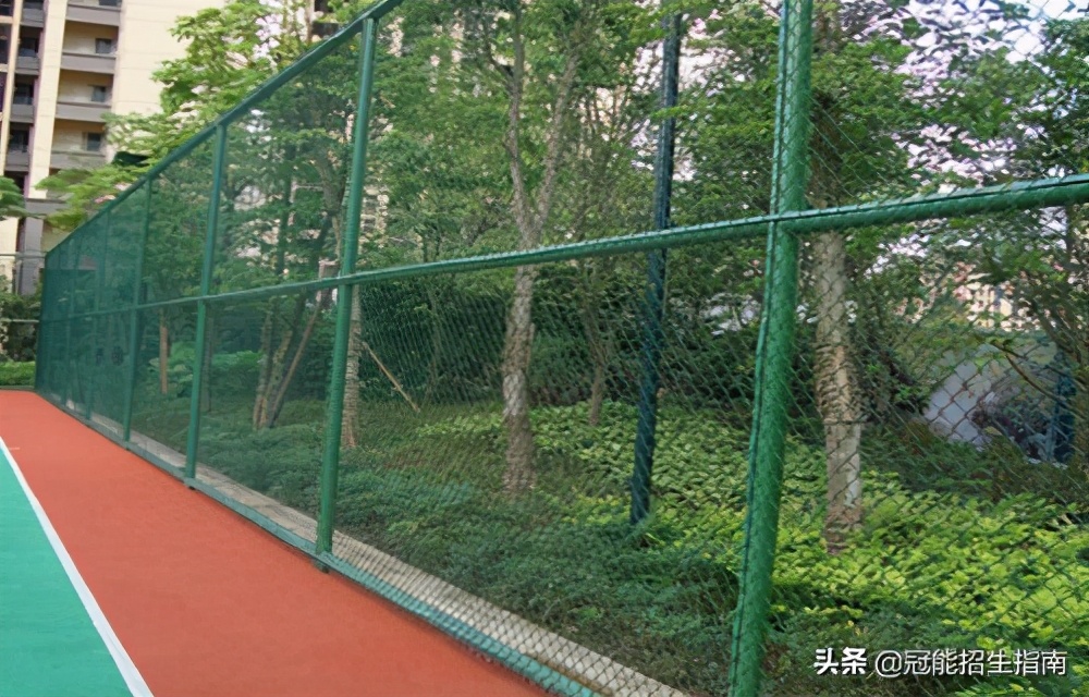 成都哪些卫校护理专业比较好-护理专业就业前「钱」景如何？