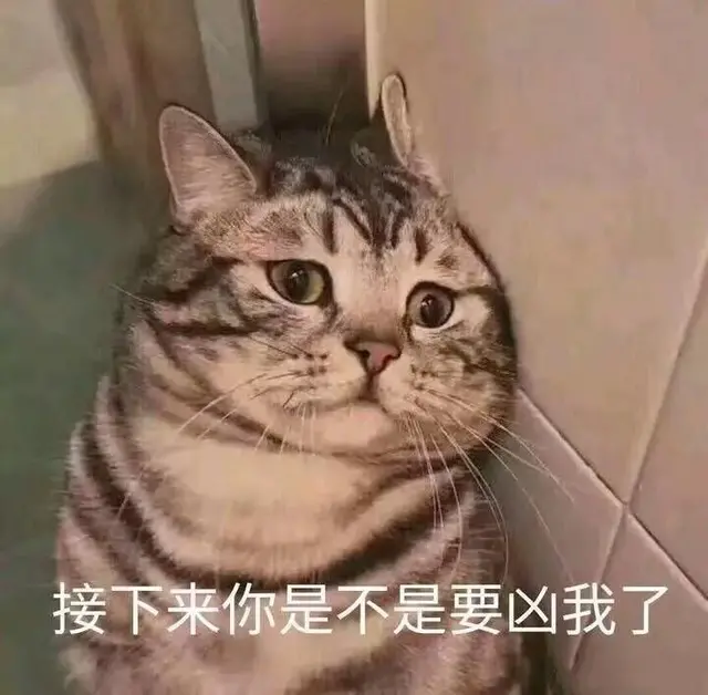 适合给男朋友发的猫猫表情包