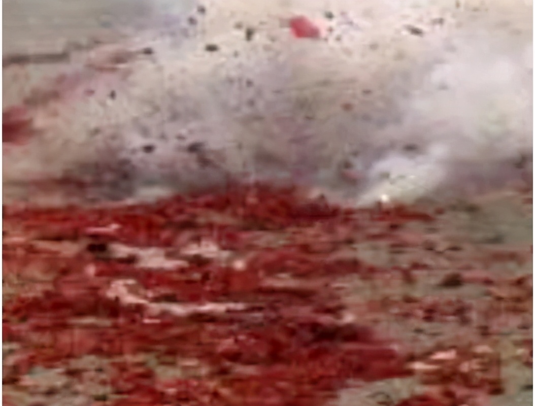 原创散文： 家里帮忙的，各司其职，忙得热火朝天