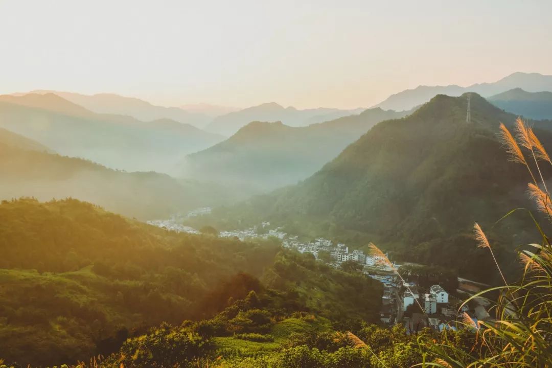 8首美好诗词：愿世间所有的美好，都是恰逢其时