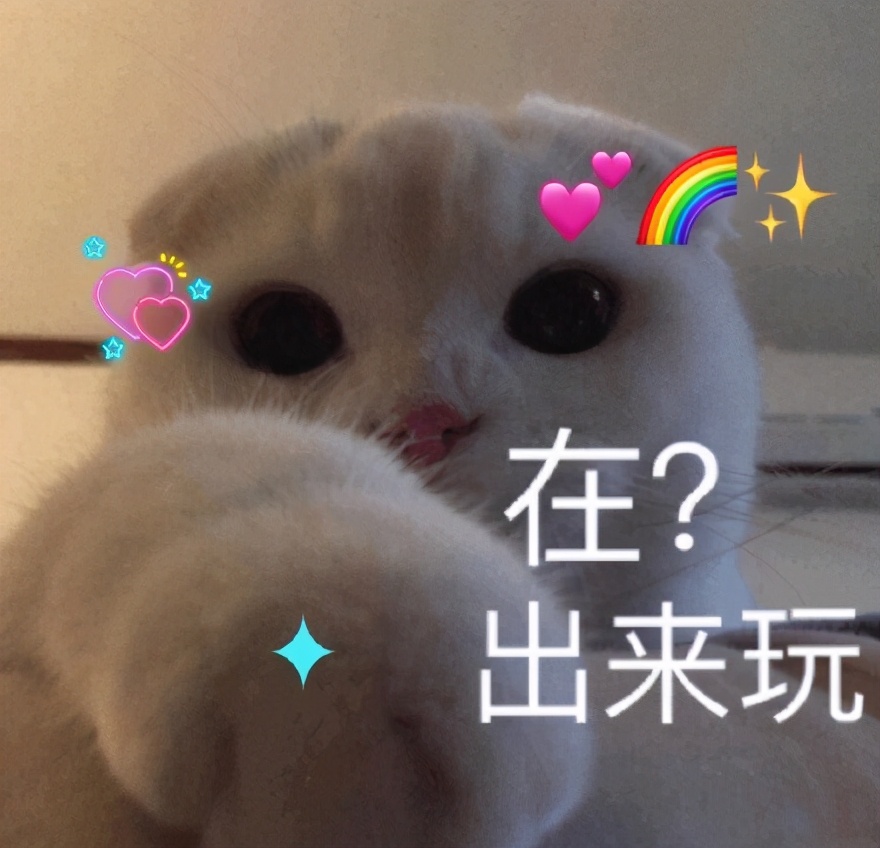 猫咪表情包合集｜在？出来玩