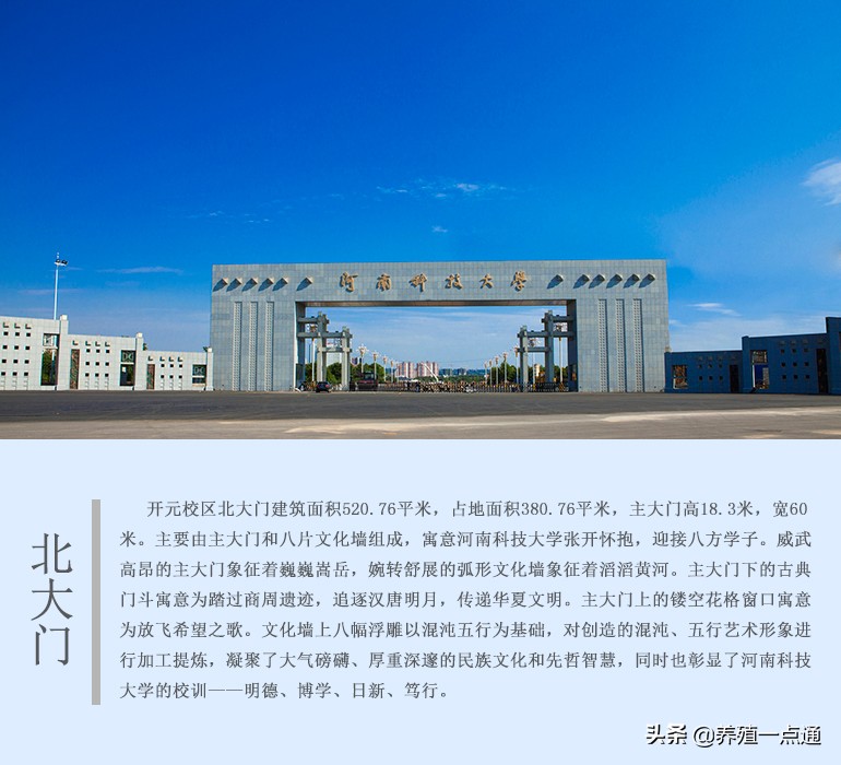 杨自军，河南科技大学动科院动医系主任，教授，宠物兽医专家