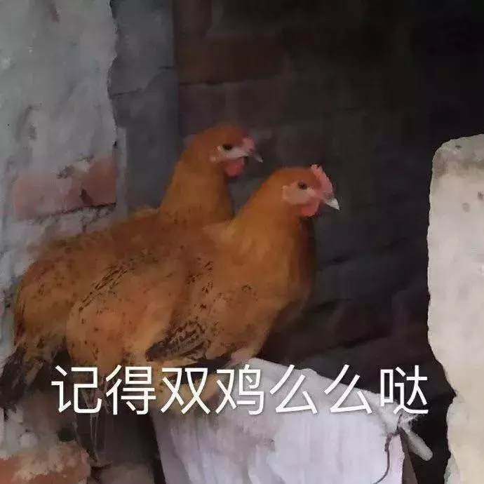 表情包丨生气，完全生气