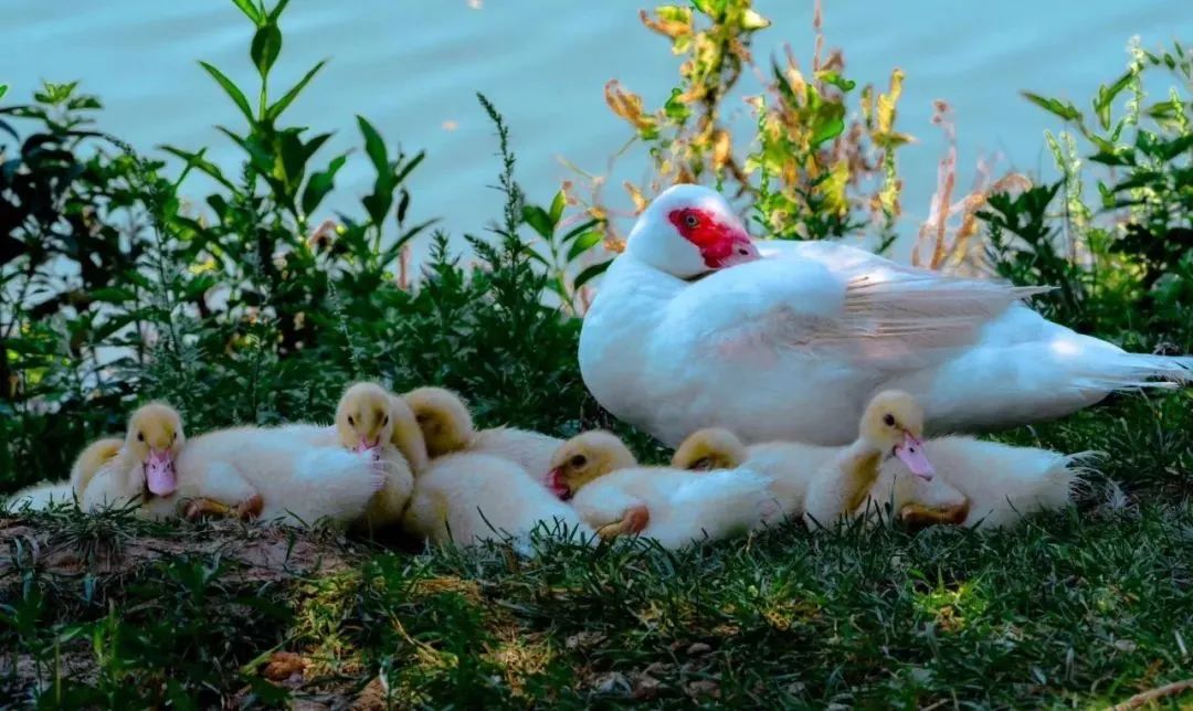 来大外！一起展望前方星辰大海！