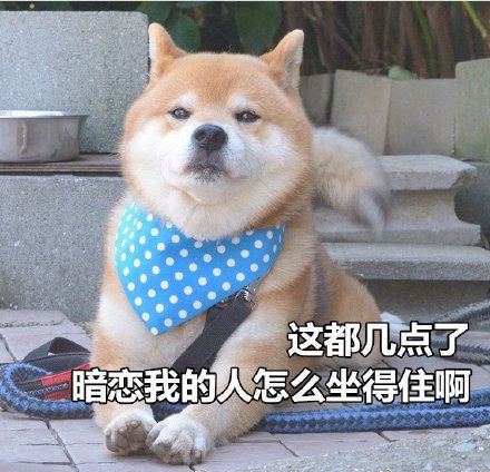 柴犬土味情话表情包合集｜你知道我的缺点是什么吗？