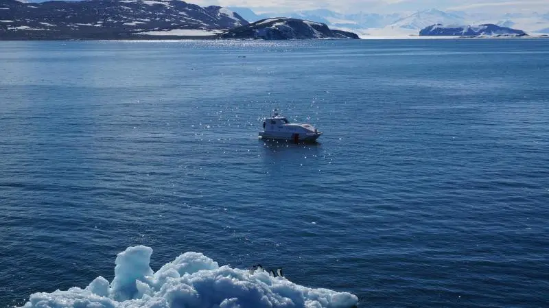 上海大学：中国大陆