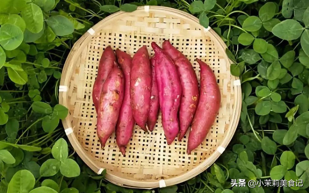 全国哪里的红薯最好吃，经过评比这5个地方比较出名，你都吃过吗
