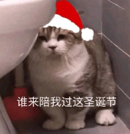 猫咪圣诞节系列表情包合集｜能和你过圣诞节吗
