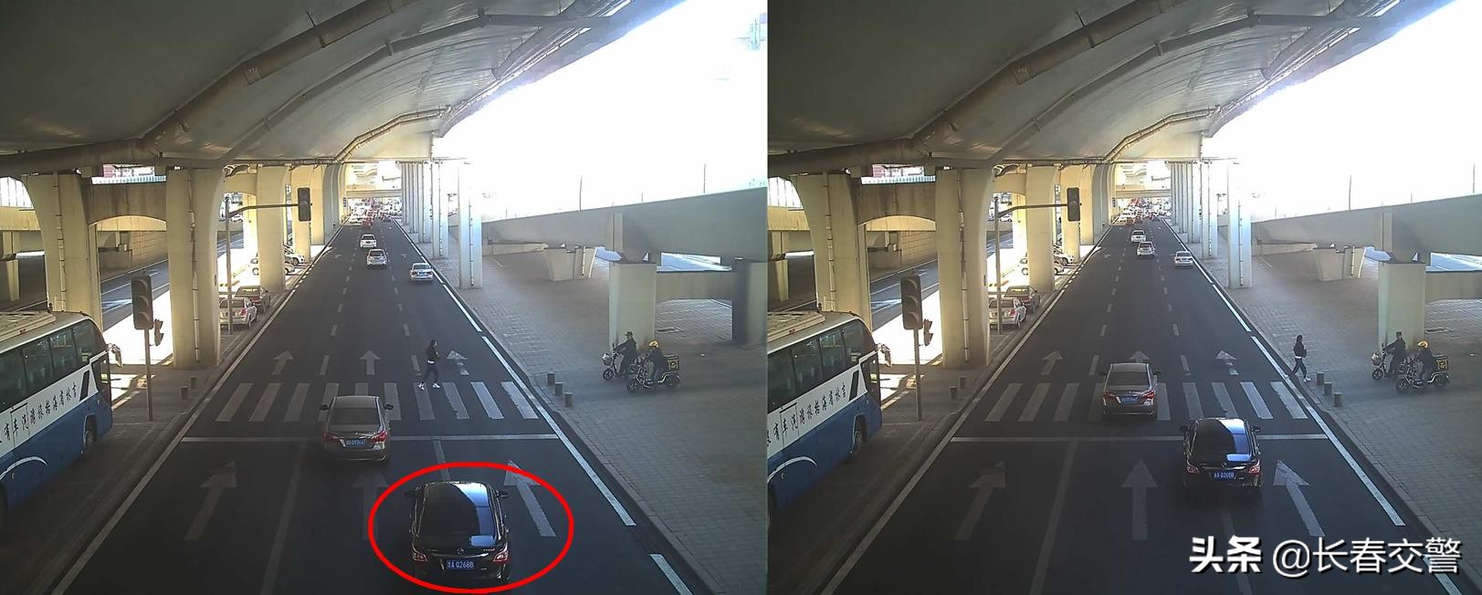 「违法曝光台」再这样开车，蜀黍建议你好好看看交通法吧！