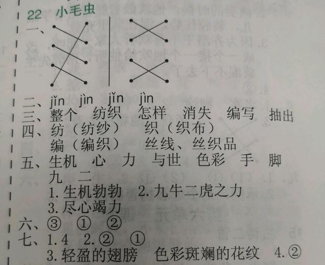 二年级下册22课看《小毛虫》化茧成蝶，掌握知识，弄懂道理