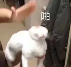 哥哥你这样子人家好害怕