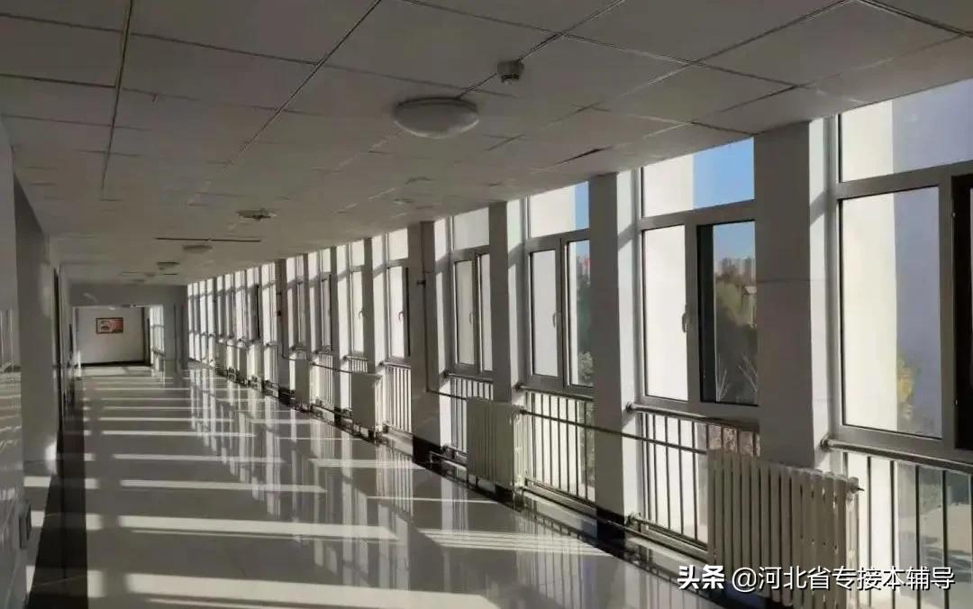 衡水学院：相比上一年招生减少1/3的名额