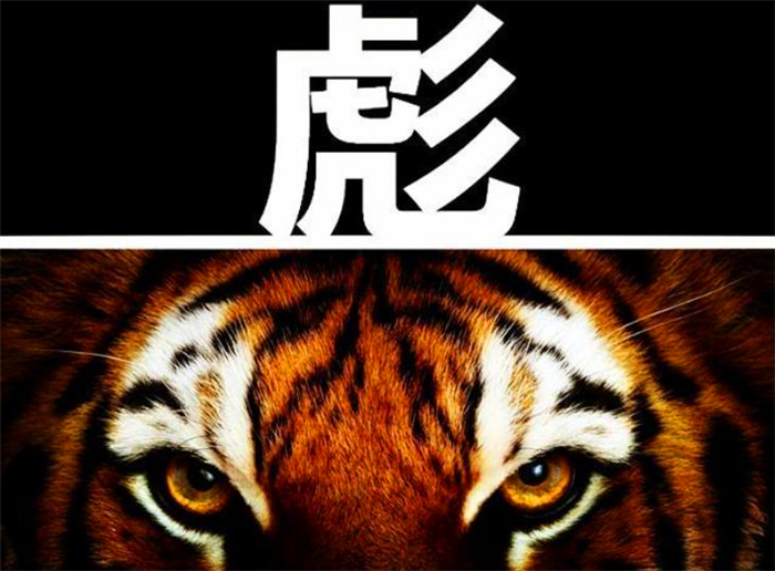 "虎生三子,必有一彪",彪是什么?跟普通的小老虎有什么不同?