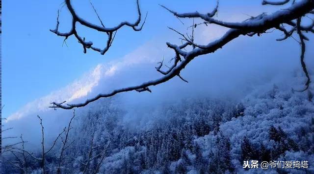 红墙，白雪，琉璃瓦，大雪压青松