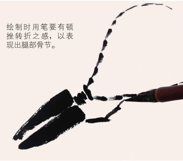 蜻蜓蝴蝶不会画？那是你没有学会这几点，简单易学的国画，快收藏