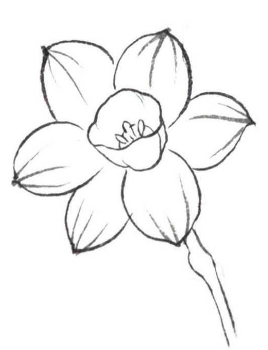 白描水仙花的画法