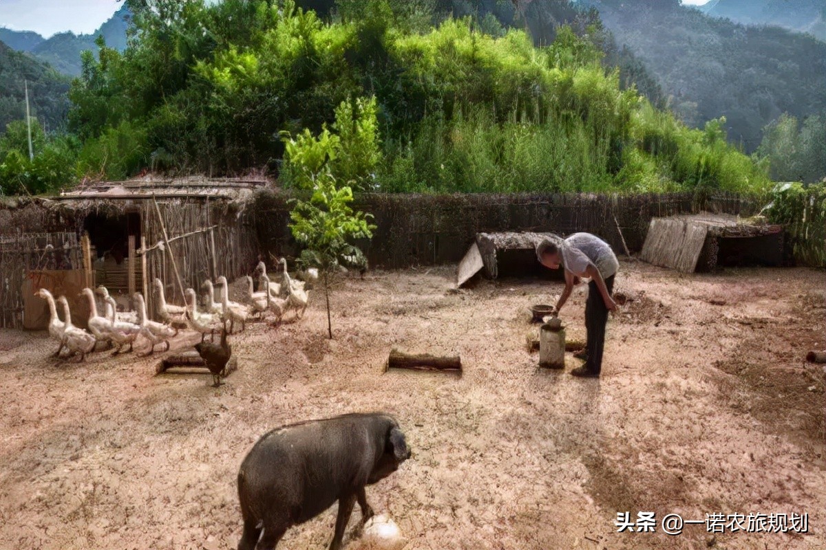 乡村振兴实例：从空心村到野奢度假综合体，是如何实现的？