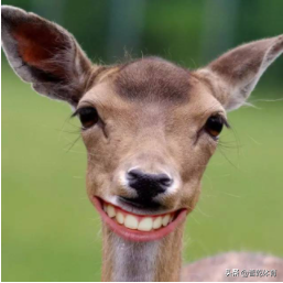 2022年重庆中考体育考试时间、考试项目确定啦，内附评分标准