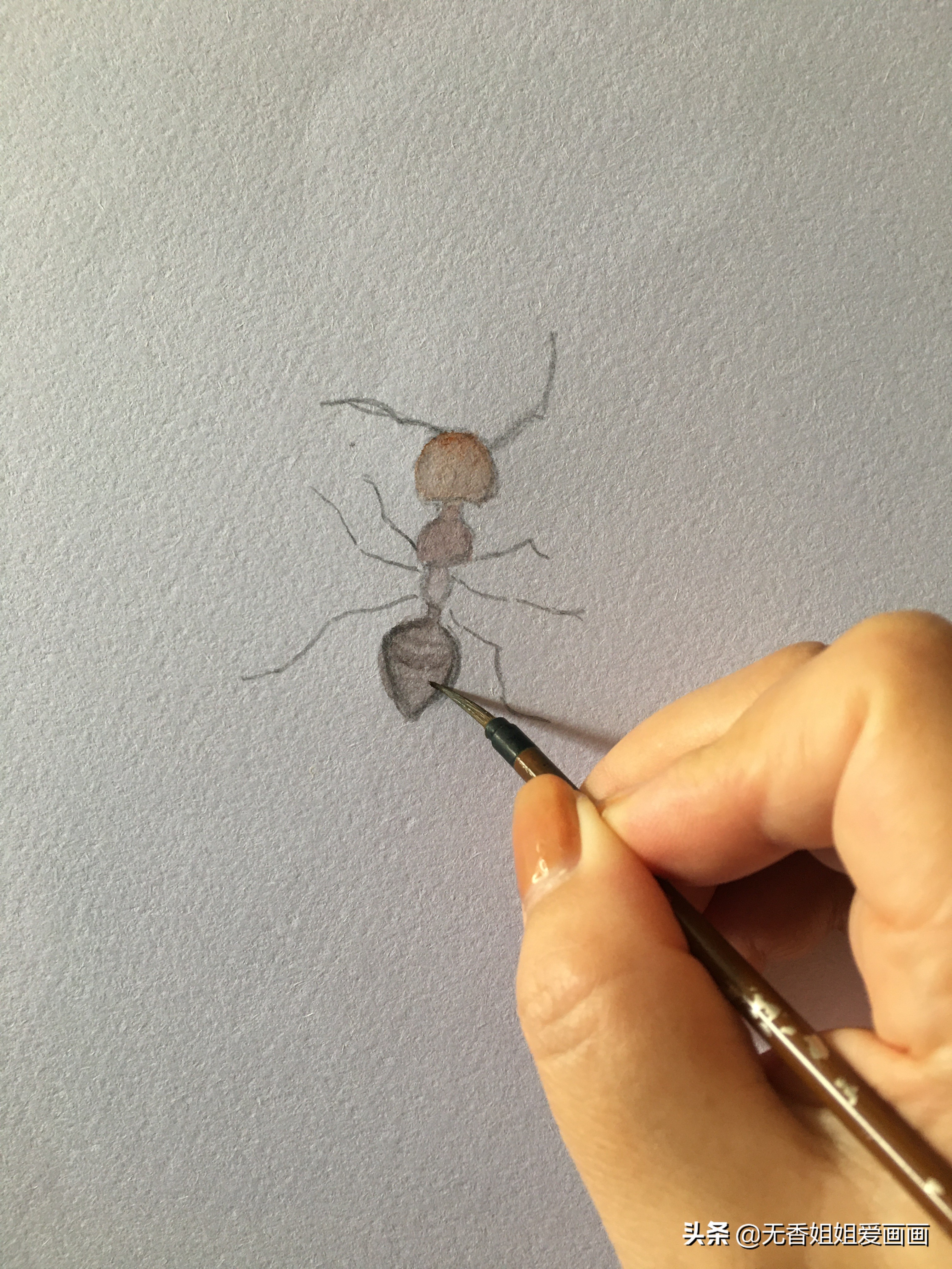 蚂蚁简笔画（在家无聊不如学学画画简单又修身养性）