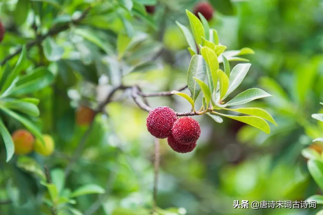 食物里，蕴藏着深情