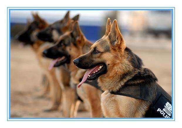 盘点中国高校十大“奇葩专业”，北大上榜，最后一个你绝对不敢学