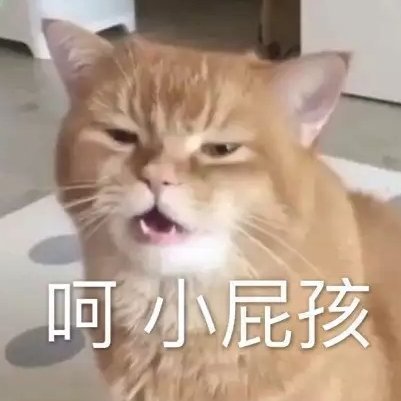 猫咪表情包合集｜我心爱的狗东西在吗？