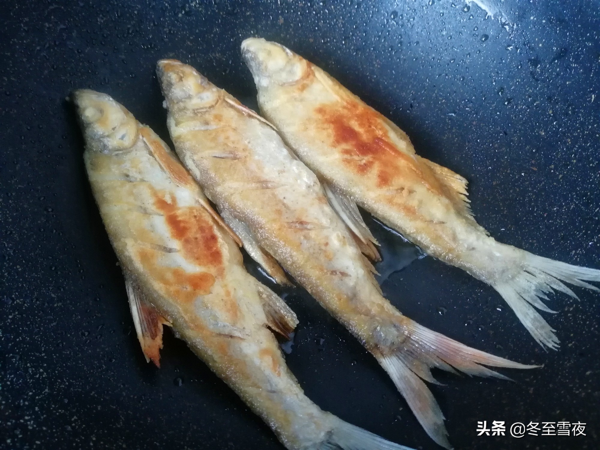 島子魚的做法,島子魚的做法大全集