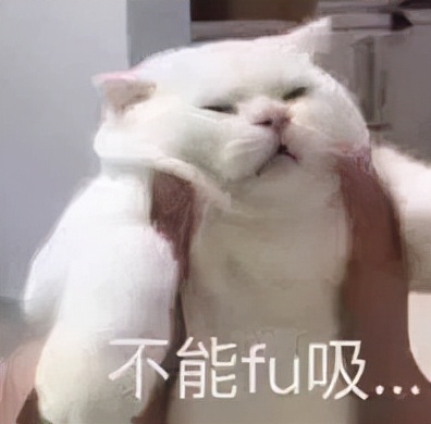 染發劑到底致不致癌？實測16款熱門染發劑，終于搞清楚了
