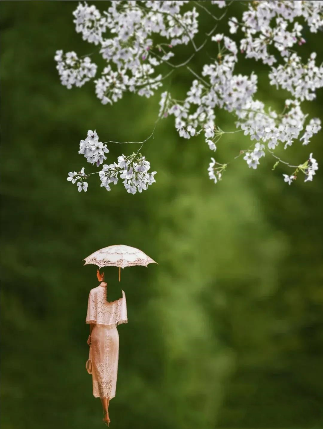 赏读：秋雨如诗，醉了谁？