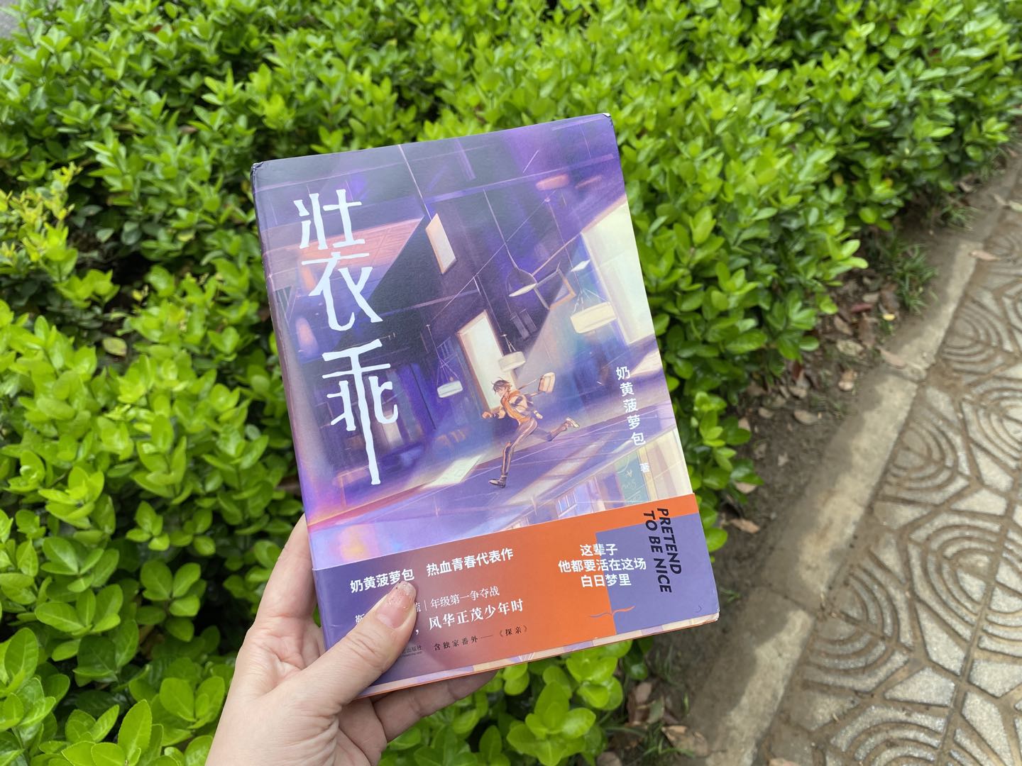 五年高考三年模拟小说（装乖）