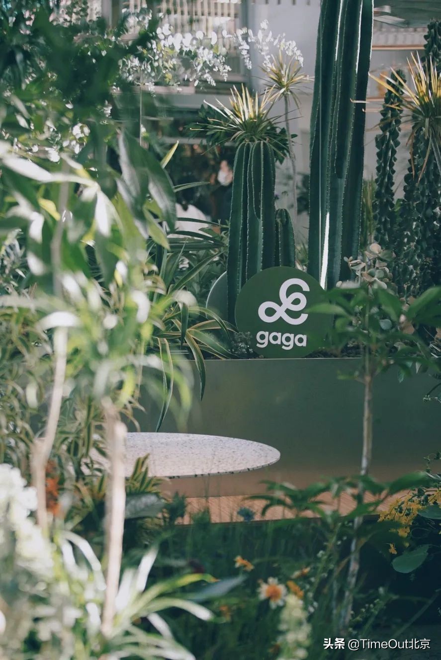 京城6家最虐健身课&周边最健康轻食，你pick谁？