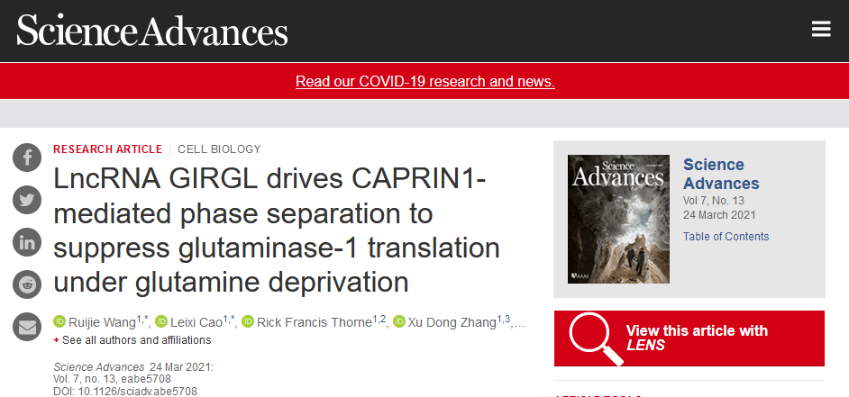 最近，郑州大学在肿瘤抗癌等领域取得新突破，8项科研成果引起国际关注！