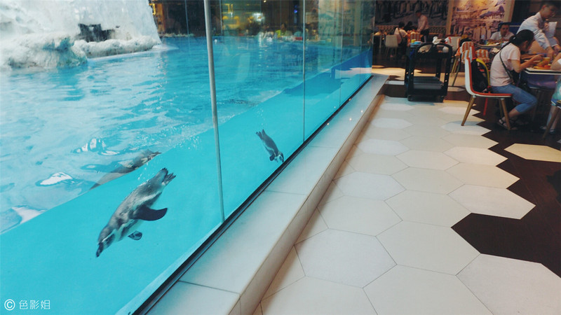 三天三夜欢乐长隆之旅（附攻略）