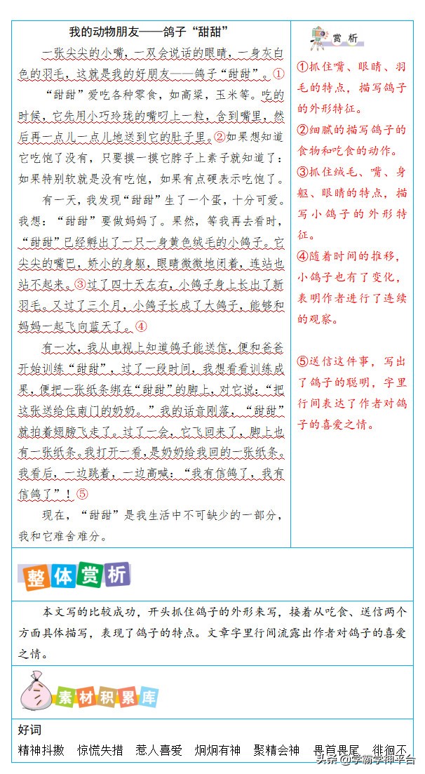 四年级语文同单元作文赏析，好词好句