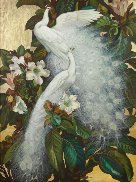 孔雀东南飞！高贵、冷艳的白孔雀