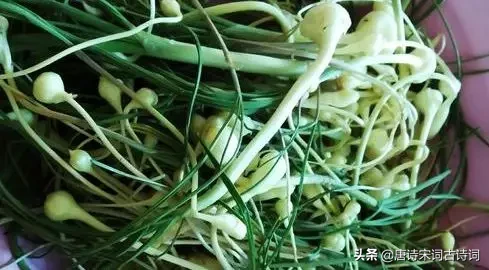 待到阴霾散尽，春光正好，我们赏读古诗词，品一品春天的味道