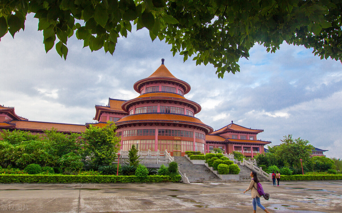 读文科可以考哪些大学（文科生学这四类专业）