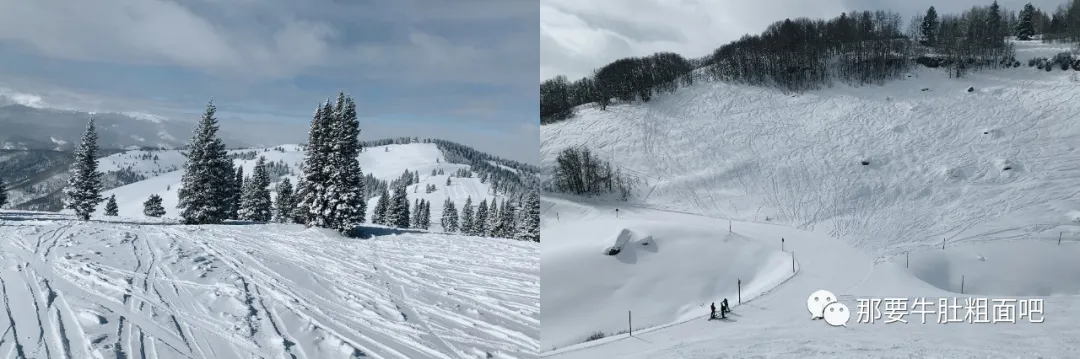 当大雪飞过那个小镇,我哪儿都不去 | 当我滑雪时我在想什么