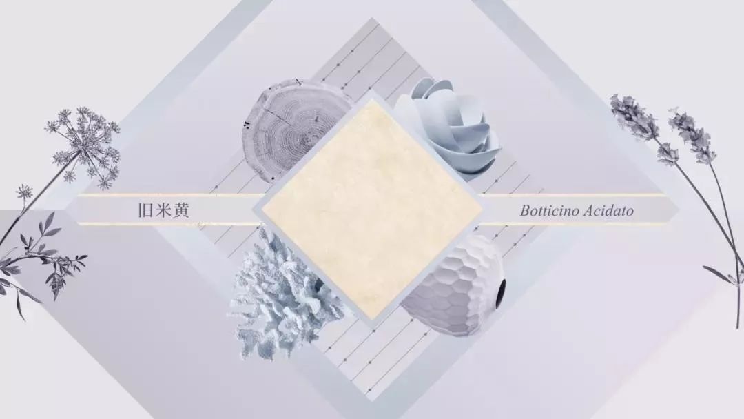 东鹏瓷砖·原石系｜来自文艺复兴与艺术的美丽传说