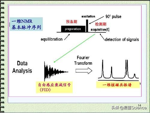 核磁共振成像原理（世界上最尖端的医学设备）