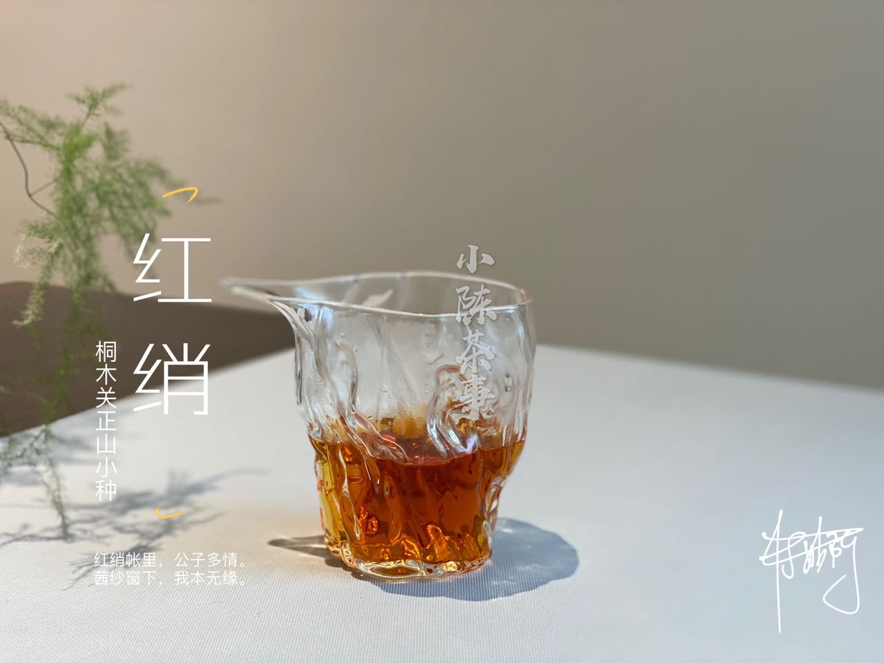 专门写给新手的红茶8点，快存下来，很难找全这份资料