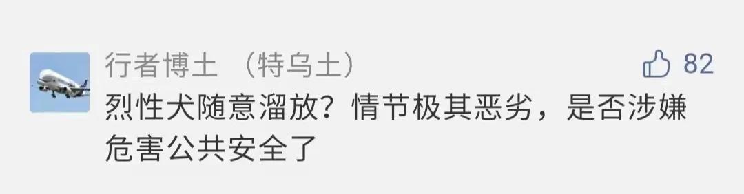 痛心！大理大学12只网红黑天鹅被烈犬咬死！包括6只丑小鸭！狗主人赔4万元