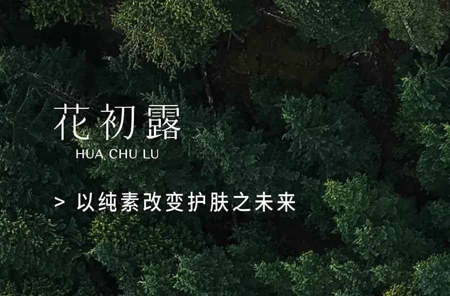 人间忽晚，但玫瑰花期永不停歇｜花初露