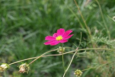 湖北高考500分大学「文科」 含省内省外大学