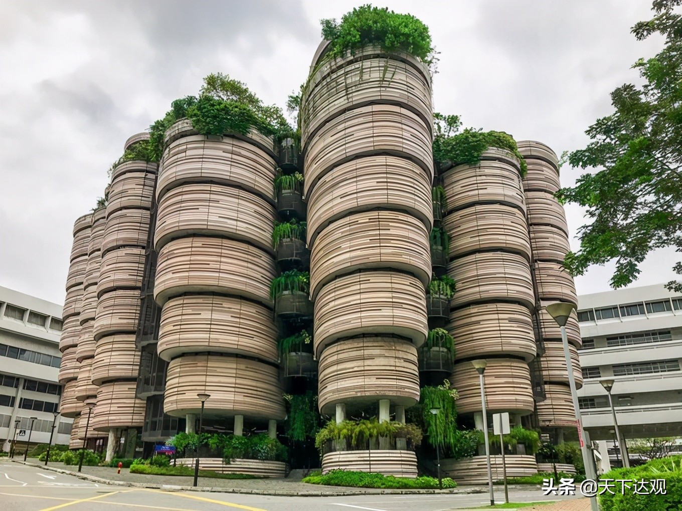 南洋理工大学｜新加坡的一所世界著名研究型大学，工科和商科并重