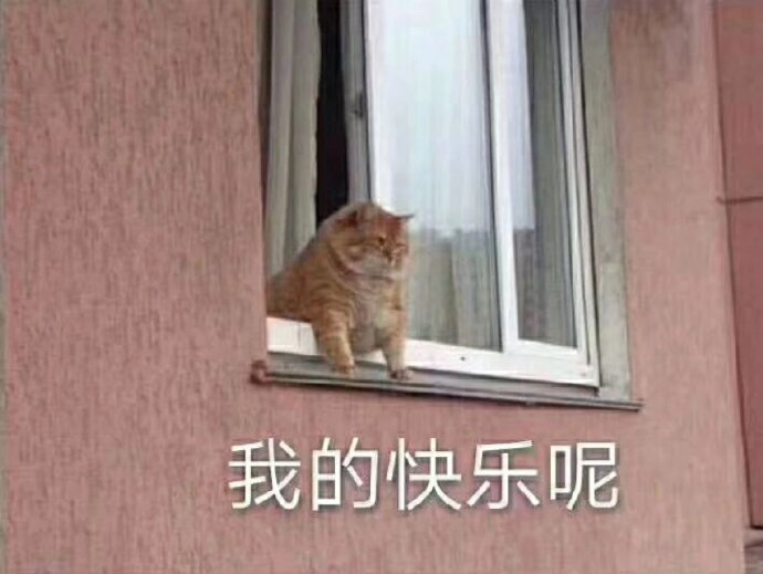 猫咪表情包合集｜不要逼我亮出武器