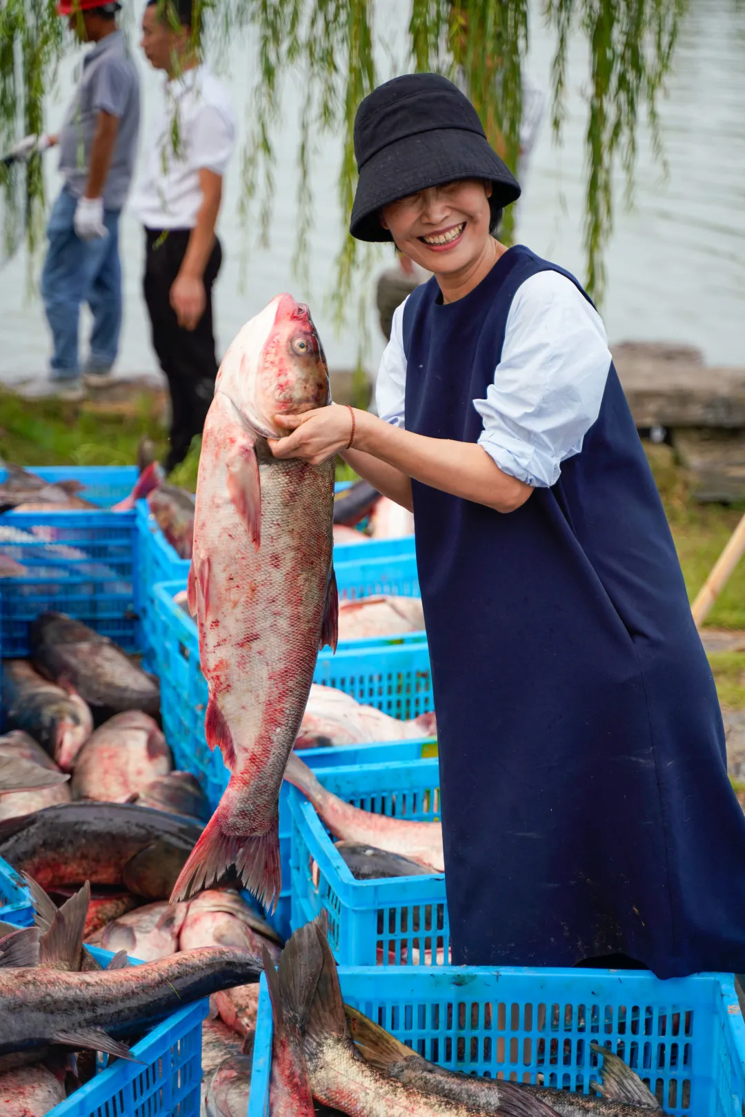 金职喊你免费吃鱼啦